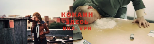 ПСИЛОЦИБИНОВЫЕ ГРИБЫ Белоозёрский