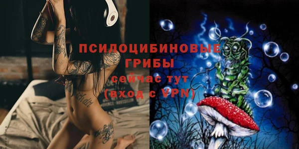 apvp Белокуриха