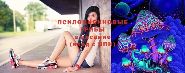 ПСИЛОЦИБИНОВЫЕ ГРИБЫ Белоозёрский