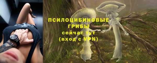 ECSTASY Беломорск
