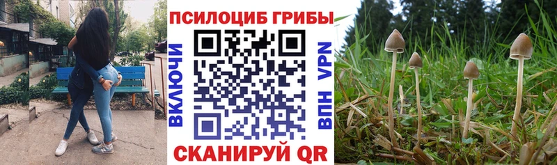 Галлюциногенные грибы Magic Shrooms Ясный